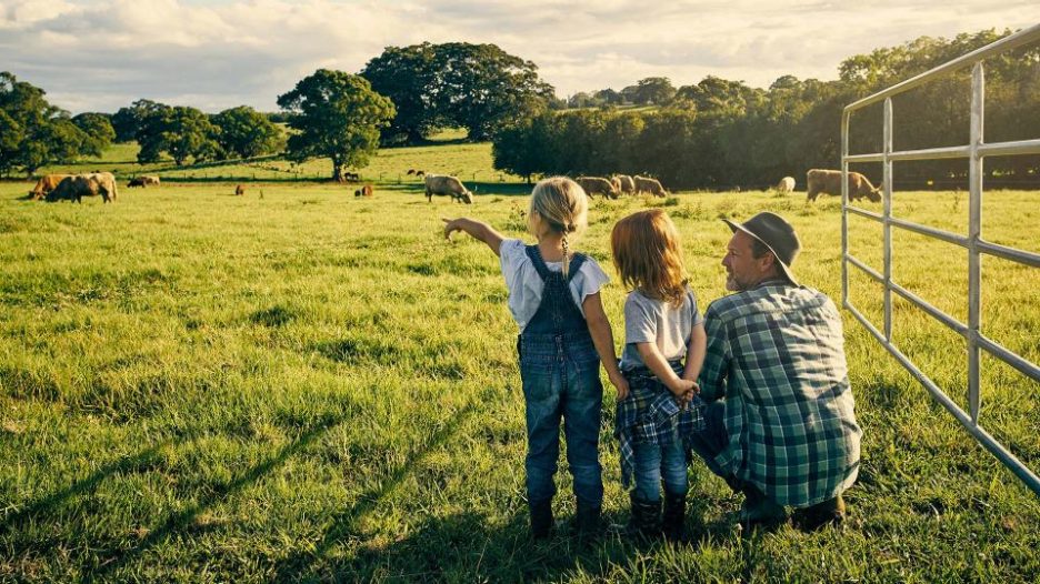 Man showing his two young daughters cows in a field