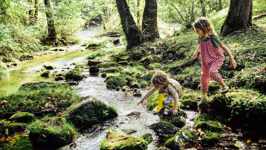young children exploring and crossing a forest stream