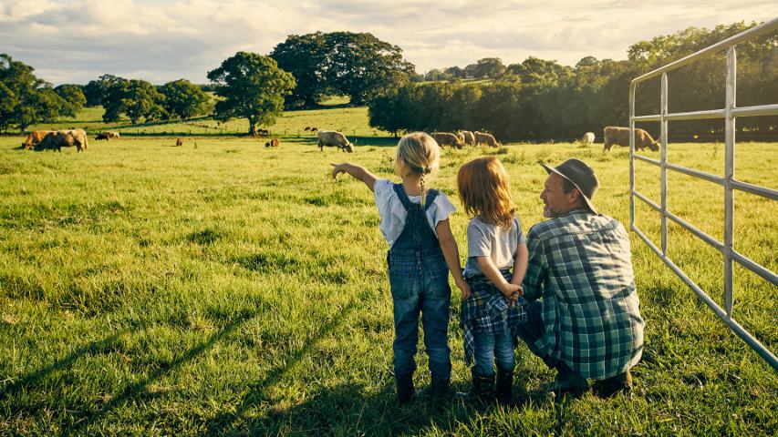 man showing his two young daughters cows in a field