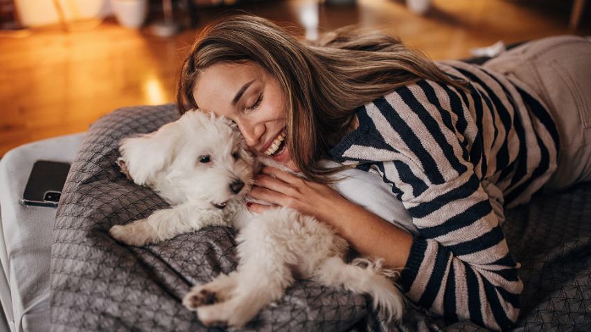 woman snuggling up to her little white dog as they play at home