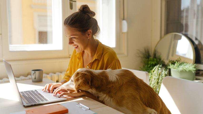 smiling woman working from home on her laptop is being helped by her dog