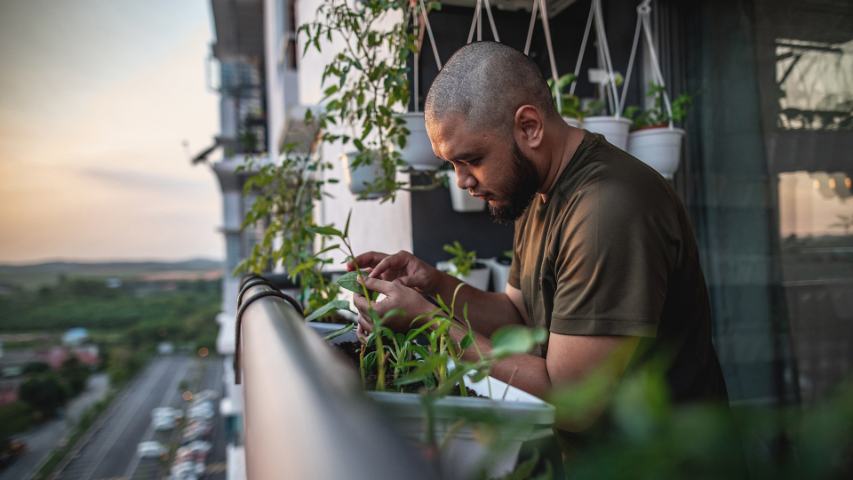 man tending to his plants on an apartment balcony at dusk