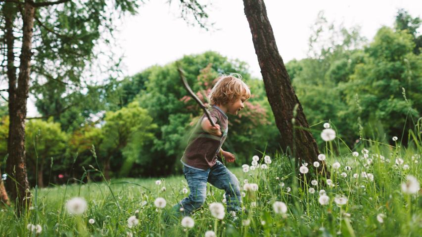 young boy playing with a stick in a field of wildflowers