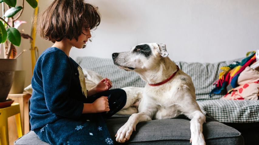 little girl and dog