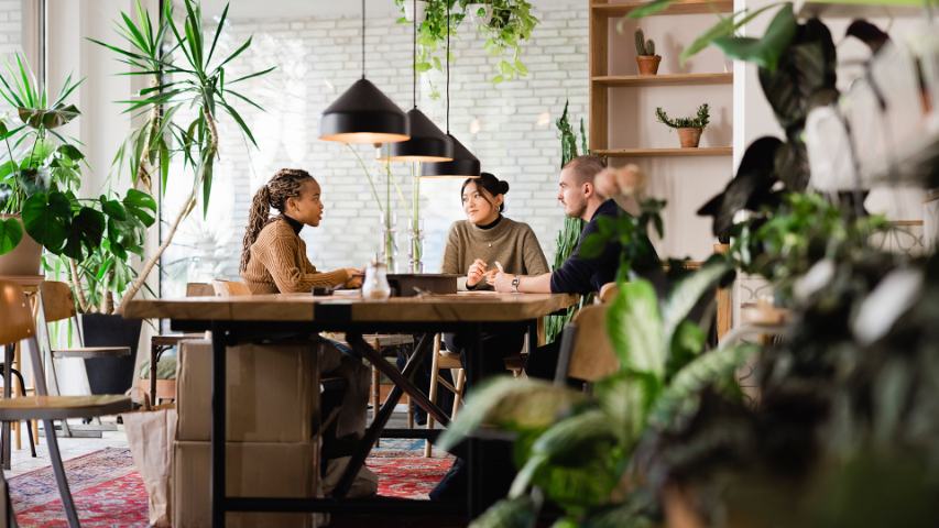 three people in a casual meeting in a modern relaxed office space fllled with plants