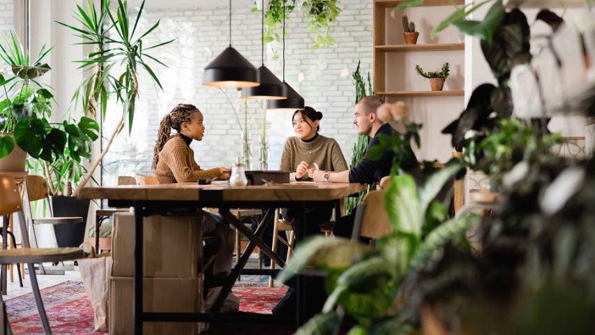 Group meeting in modern office with lots of plants