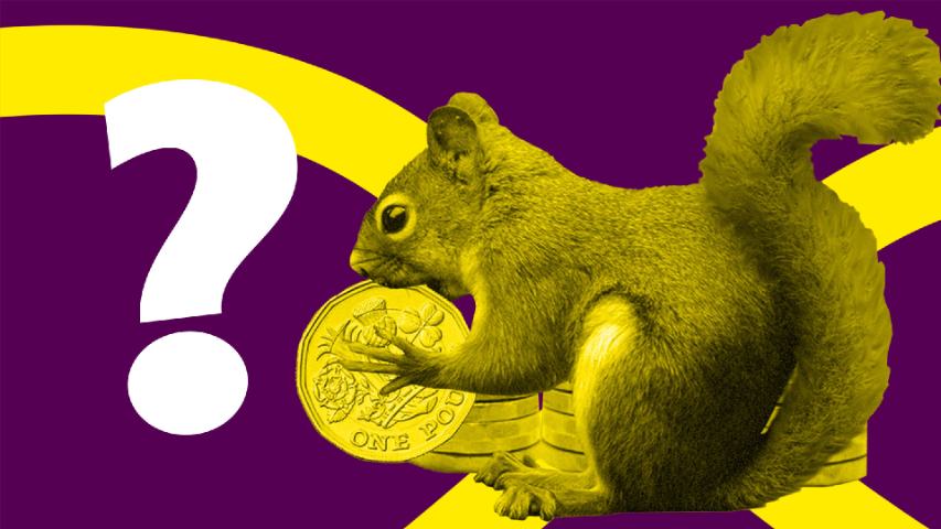 Squirel with a penny