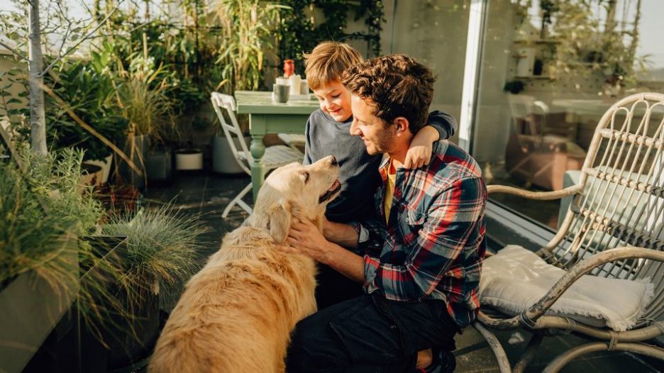 father, son and dog enjoying a morning in the garden together